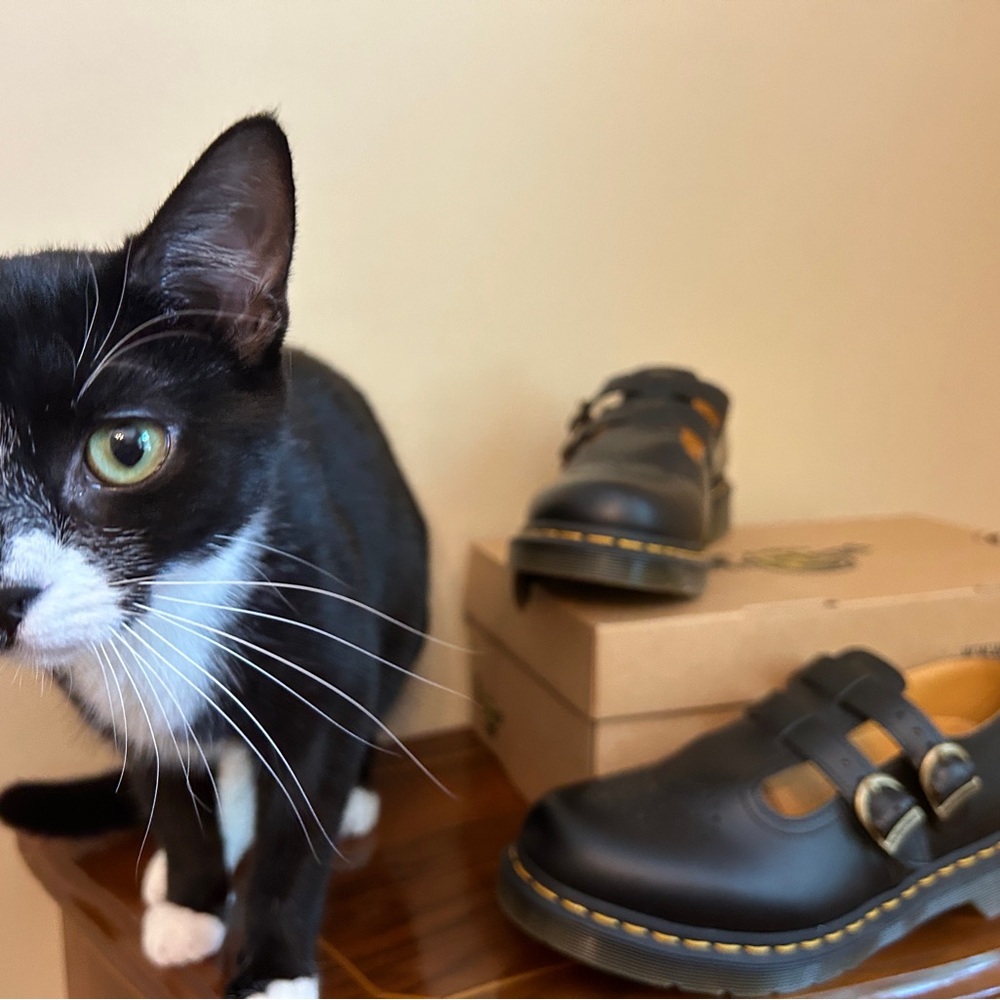 Like New Dr. Martens Mary Janes - 8065 Sz 9